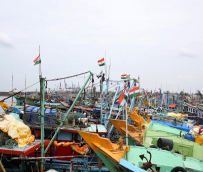 119 unregistered vessels found in annual inspection of TN fisheries department