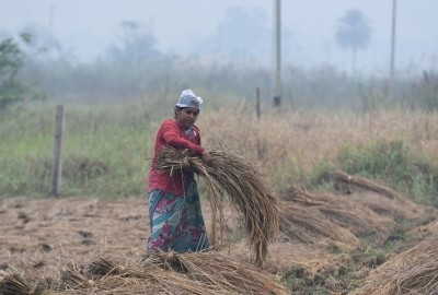 Unseasonal rains hit hard Telangana paddy farmers