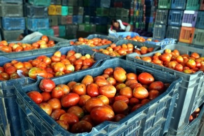 Tomato prices shooting through the roof in B'luru