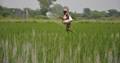 Adequate fertilisers available to meet needs of farmers in Rabi season, says Centre