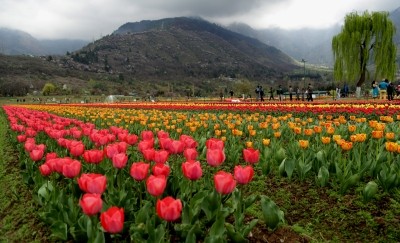 Partly cloudy weather in J&K during next 24 hrs: MeT