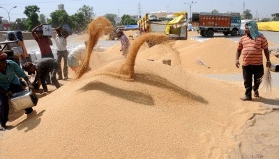 Adequate food grains stock, may intervene if prices abnormally high: Govt