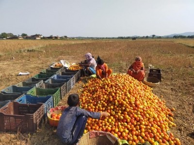 PM-Kisan scheme benefit discontinued for over 15.27L farmers in Jharkhand