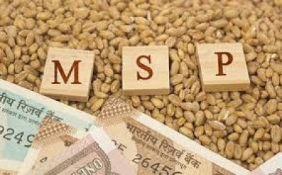 Centre hikes MSP for Rabi crops by upto Rs 500 per quintal