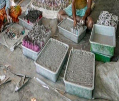 Riding tractor to cross reptile-infested rivulet, CGST team bust illegal firecracker factory in Faridabad