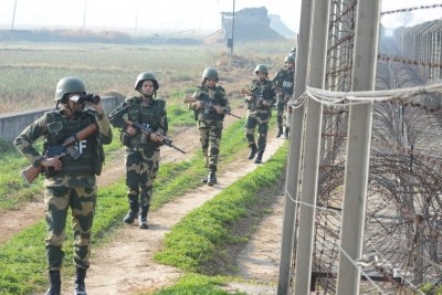 Cattle smuggler killed in BSF firing at Bengal's border with Bangladesh