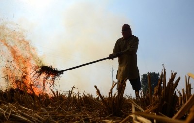 Four Punjab officials suspended for stubble burning