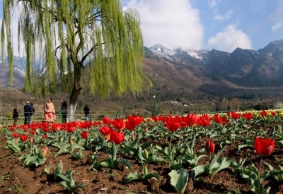 Clear to partly cloudy weather likely in J&K