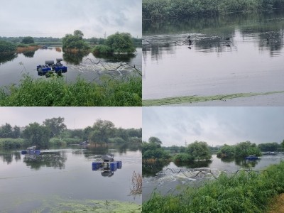 In old hub of baolis, Pappan Kalan lake will lift Dwarka's groundwater level