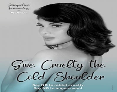 Jacqueline gives angora the cold shoulder in PETA India campaign