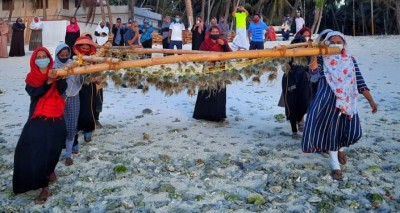 Lakshadweep turns to seaweed farming to facilitate development