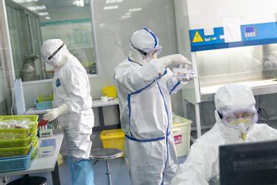 Scientists who declined lab-leak theory linked to Wuhan lab: Report