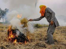  पंजाब के किसानों ने जलानी शुरू की पराली -तस्वीरों से मिले संकेत, अब बढ़ेगा दिल्ली में प्रदूषण