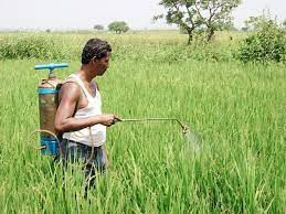 आधुनिक खेती और प्रदूषित होती धरती का मर्म!!