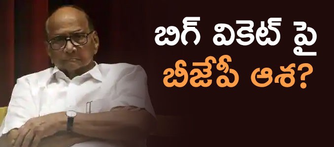 బీజేపీ పవార్...కాంప్రమైజింగ్ ఫార్ములా