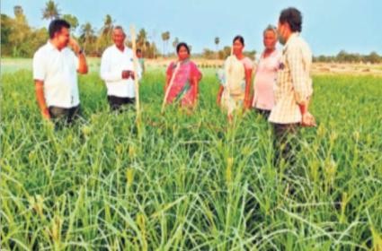 ఖరీఫ్ కు జిల్లాల చిక్కులు