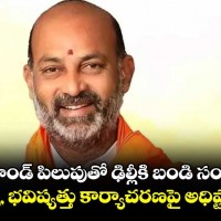 ఢిల్లీకి బండి...