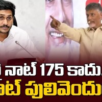 వై నాట్ పులివెందుల....