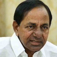  ఆ ఆరింటిపై గులాబీ గురి