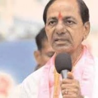 బయటకు వస్తేనే మనుగడ...