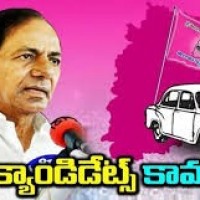 దూరమౌతున్న కేడర్... నిలబెట్టుకొనేదలా...