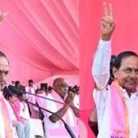 గులాబీలో 25 గుబులు 