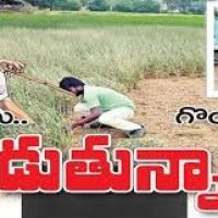 ఓ వైపు కరెంట్... మరో వైపు నీరు