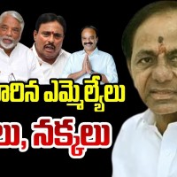 పార్టీ మారితే... కుక్కలు, నక్కలు అయిపోతారా...