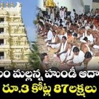 శ్రీశైలమల్లన్న రాబడి 3.87 కోట్లు