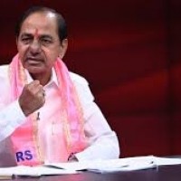 తెలంగాణ కోసమే నేను పుట్టా 