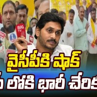 వైసీపీకి పార్టీకి భారీ షాక్ 