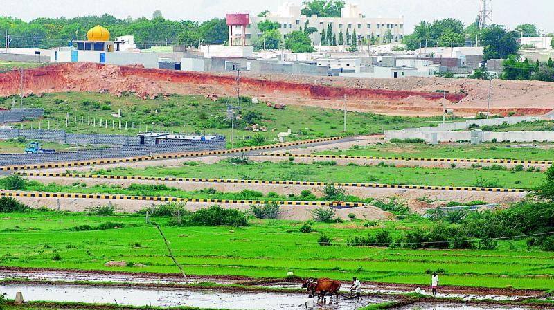 రియల్ వెంచర్లుగా మారుతున్న పంటపొలాలు