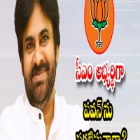 బీజేపీ సీఎం అభ్యర్ధిగా పవన్