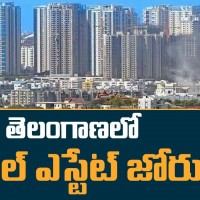 జోరు మీద ఉన్నా రియల్...