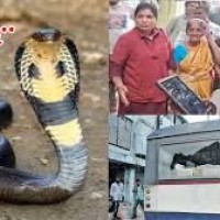 అమ్మో... బస్సు ఆపలేదని ఎంత హంగామానో...