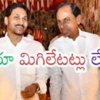 బీఆర్ఎస్ గా వైసీపీ మారుతోందా...