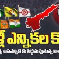 విశాఖలో ఎమ్మెల్సీ ఎన్నికల హీట్