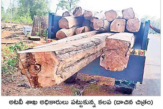  తరలిపోతున్న అటవీ సంపద