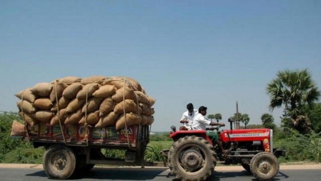 ఏపీలో భారీగా తగ్గిన దిగుబడులు