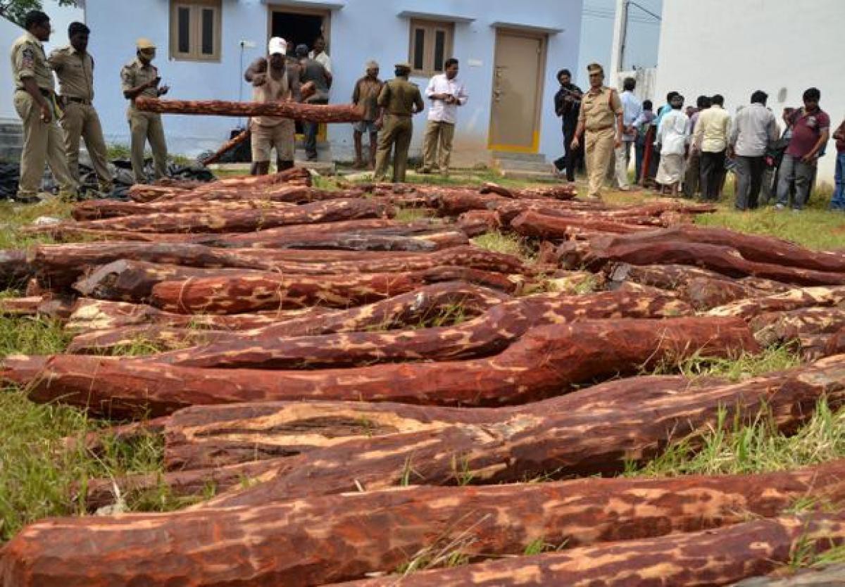 రెండు ఇన్నోవా లతో సహా 16 ఎర్రచందనం దుంగలు స్వాధీనం