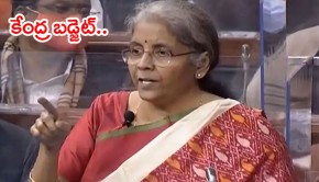 ఏ రంగానికి ఎంత