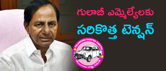 గులాబీకి ఉక్కిరిబిక్కిరి చేస్తున్న ఎన్నికలు