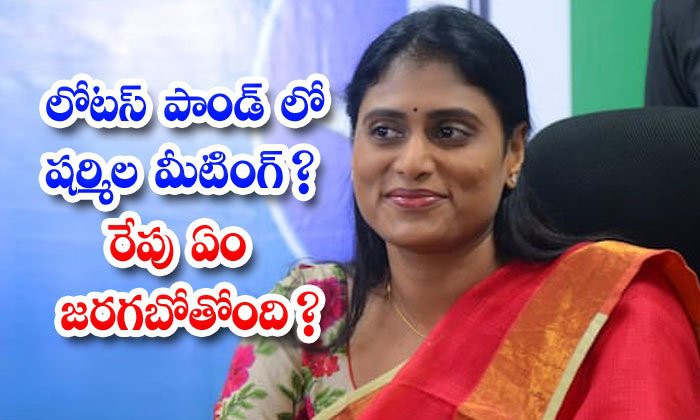 9 న లోటస్ పాండ్ లో షర్మిల కీలక సమావేశం..