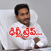 జగన్ ఢిల్లీ టూరు లెక్కేంటీ...