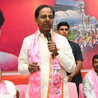 నిర్లిప్తంగా గులాబీ శ్రేణులు...