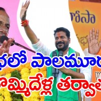 పాలమూరులో యాత్రల జోరు