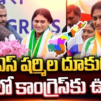 షర్మిల దూకుడు...