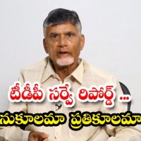 సర్వేలు... నీటి మూటలేనా...