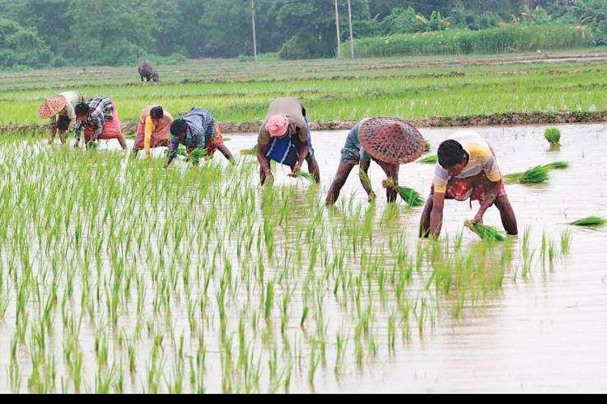 ఏపీలో 89 వేల మందే రైతులా..?