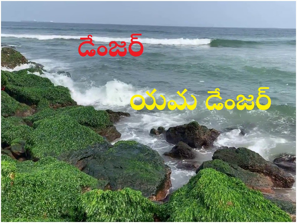 పర్యాటకులపై అలల దాడి.. గాల్లో కలుస్తున్న ప్రాణాలు